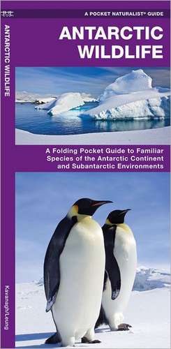 Antarctic Wildlife: A Folding Pocket Guide to Familiar Species of the Antarctic and Subantarctic Environments de James Kavanagh