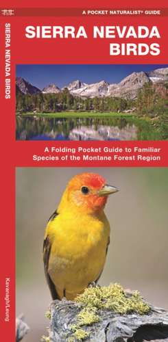 Sierra Nevada Birds: A Folding Pocket Guide to Familiar Species of the Montane Forest Region de James Kavanagh