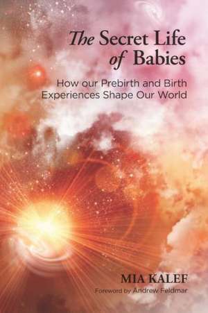 The Secret Life of Babies: How Our Prebirth and Birth Experiences Shape Our World de Mia Kalef