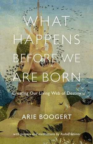 What Happens Before We Are Born de Arie Boogert