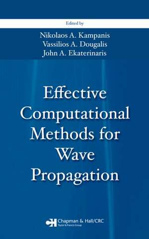 Effective Computational Methods for Wave Propagation de Nikolaos A. Kampanis