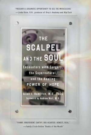 The Scalpel and the Soul: Encounters with Surgery, the Supernatural, and the Healing Power of Hope de Allan J. Hamilton