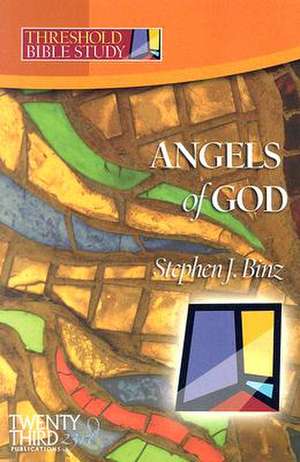 Angels of God de Stephen J. Binz