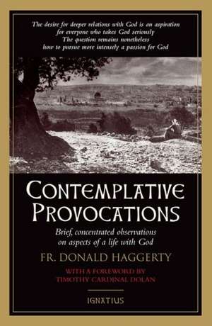 Contemplative Provocations de Donald Haggerty