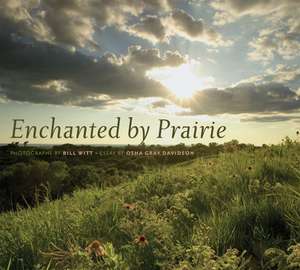 Enchanted by Prairie de Bill Witt