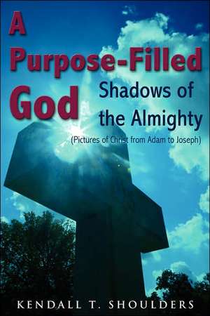 A Purpose-Filled God: Shadows of the Almighty de Kendall T. Shoulders