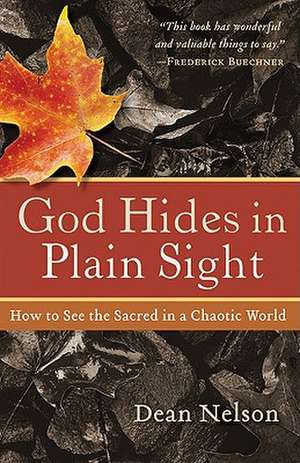 God Hides In Plain Sight de D Nelson