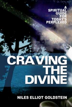 Craving the Divine: A Spiritual Guide for Today's Perplexed de Niles Elliot Goldstein