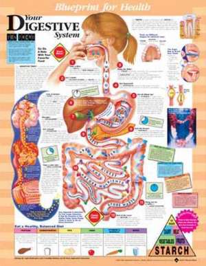 Blueprint for Health Your Digestive System Chart de Anatomical Chart Company