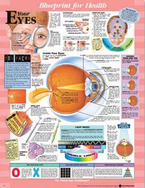 Blueprint for Health Your Eyes Chart de Anatomical Chart Company