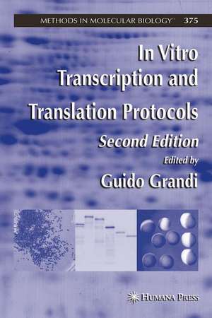 In Vitro Transcription and Translation Protocols de Guido Grandi