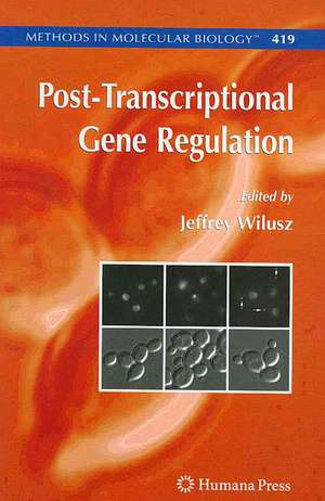 Post-Transcriptional Gene Regulation de Jeffrey Wilusz