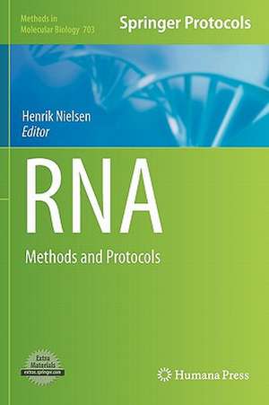 RNA: Methods and Protocols de Henrik Nielsen