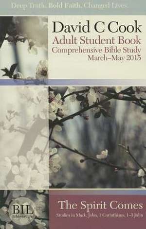 Bible-In-Life Adult Comprehensive Bible Study de David C Cook Publishing Company