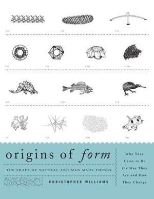 Origins of Form de Christopher Williams