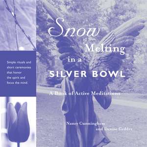 Snow Melting in a Silver Bowl: A Book of Active Meditations de Nancy Cunningham