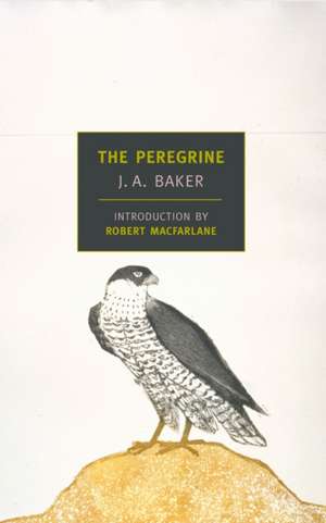 The Peregrine: The Growing Nuclear Danger de J. A. Baker