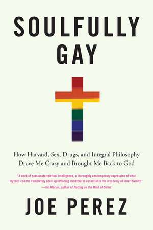 Soulfully Gay: How Harvard, Sex, Drugs, and Integral Philosophy Drove Me Crazy and Brought Me Back to God de Joe Perez