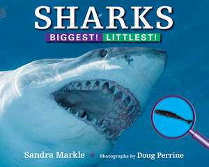 Sharks: Biggest! Littlest! de S Markle