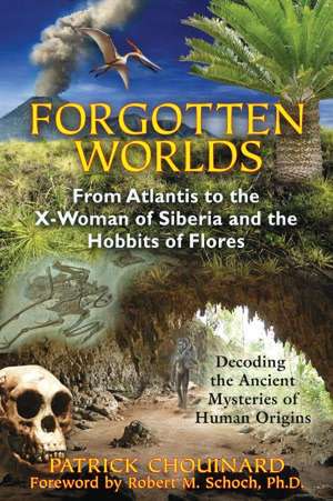 Forgotten Worlds de Patrick Chouinard