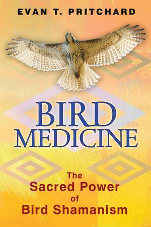 Bird Medicine: The Sacred Power of Bird Shamanism de Evan T. Pritchard