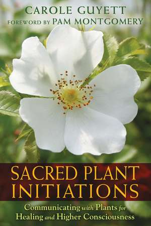 Sacred Plant Initiations: Communicating with Plants for Healing and Higher Consciousness de Carole Guyett