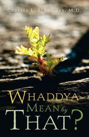 Whaddya Mean by That? de Chester L. Schneider