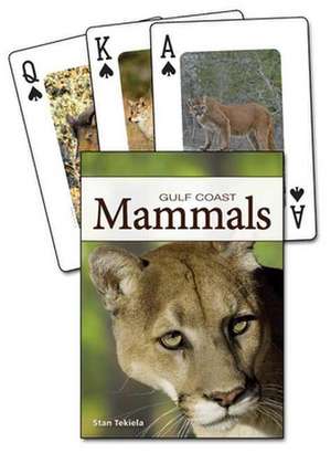 Mammals of the Gulf Coast: A Realistic Look at Critters That Scare People de Stan Tekiela