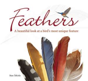 Feathers: A Beautiful Look at a Bird's Most Unique Feature de Stan Tekiela