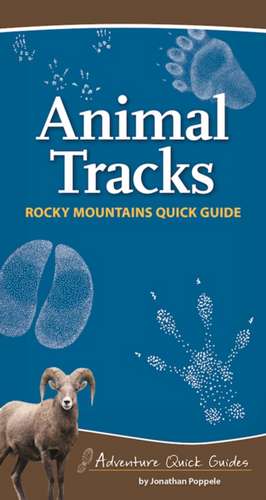 Animal Tracks of the Rocky Mountains de Jonathan Poppele