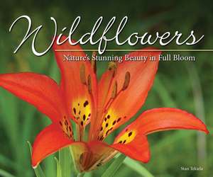Wildflowers de Stan Tekiela