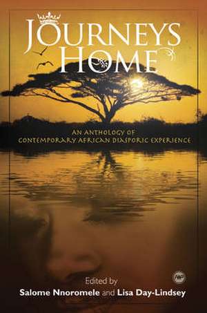 Journeys Home: An Anthology of Contemporary African Diasporic Experience de Salome Nnomorele