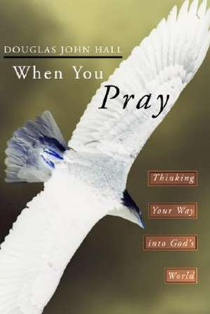 When You Pray: Thinking Your Way Into God's World de Douglas John Hall