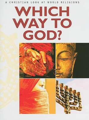 Which Way to God?: A Christian Look at World Religions [With Fold Out Chart] de Thea Nyhoff Leunk