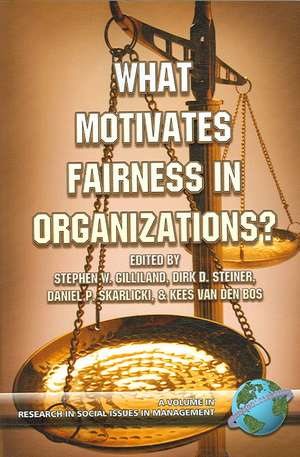 What Motivates Fairness in Organizations (PB) de Stephen Gilliland