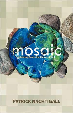 Mosaic de Patrick Nachtigall