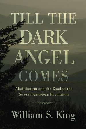 Till the Dark Angel Comes: Abolitionism and the Road to the Second American Revolution de William S. King