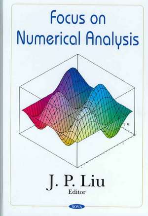 Focus on Numerical Analysis de J.P. Liu