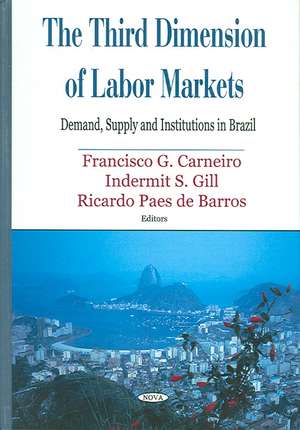 The Third Dimension of Labor Markets de Fransisco G. Carneiro