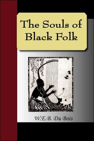 The Souls of Black Folk de W. E. B. Du Bois