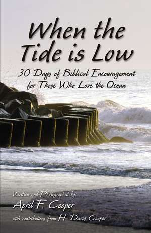 When the Tide is Low: 30 Days of Biblical Encouragement for Those Who Love the Ocean de April F. Cooper