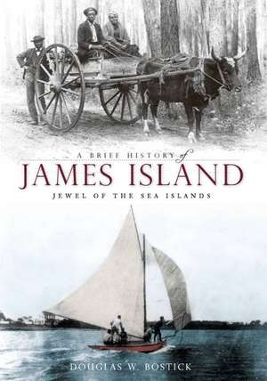 A Brief History of James Island: Jewel of the Sea Islands de Douglas W. Bostick