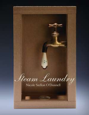 Steam Laundry de Ms. Nicole Stellon O'Donnell