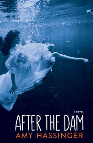 After the Dam de Amy Hassinger