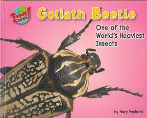 Goliath Beetle: One of the World's Heaviest Insects de Mary Packard