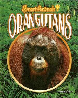 Orangutans de Meish Goldish