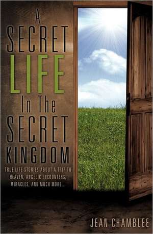 A Secret Life in the Secret Kingdom: Son of God/Son of Man de Jean Chamblee