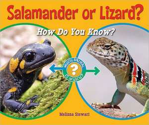 Salamander or Lizard?: How Do You Know? de Melissa Stewart