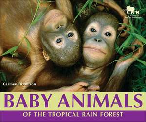 Baby Animals of the Tropical Rain Forest de Carmen Bredeson