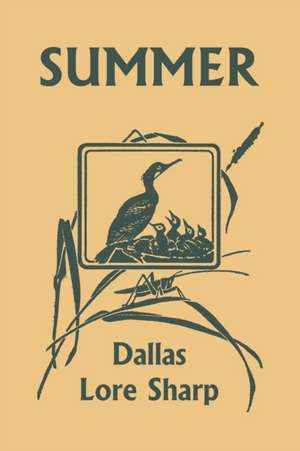 Summer (Yesterday's Classics) de Dallas Lore Sharp